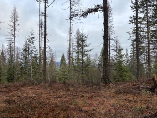 xx S Bobier Rd, Newport, WA 99156