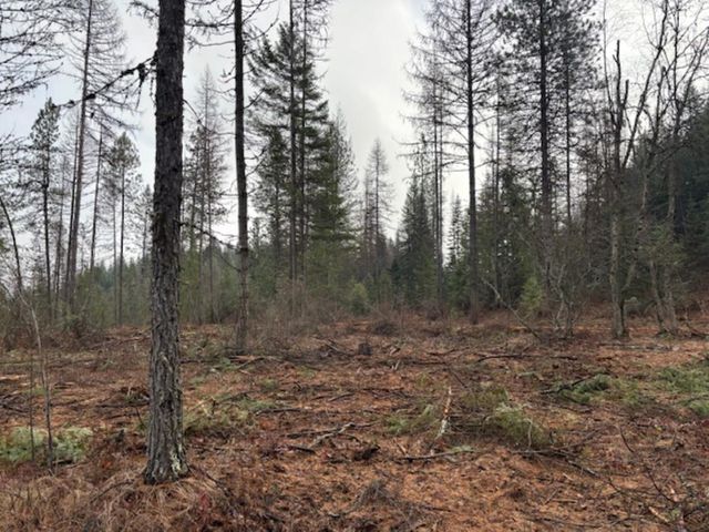 xx S Bobier Rd, Newport, WA 99156