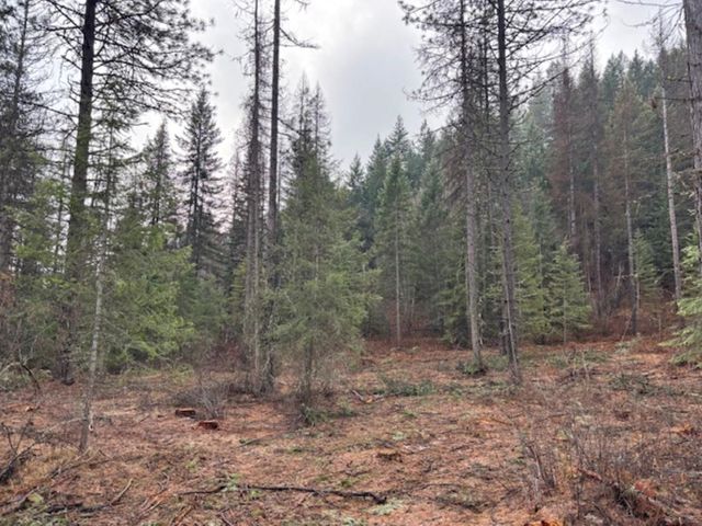 xx S Bobier Rd, Newport, WA 99156