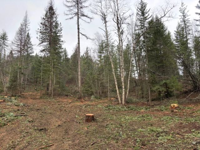 xx S Bobier Rd, Newport, WA 99156