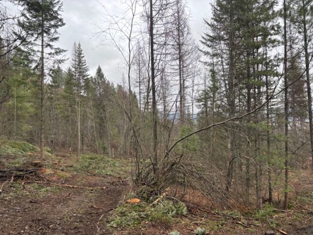 xx S Bobier Rd, Newport, WA 99156