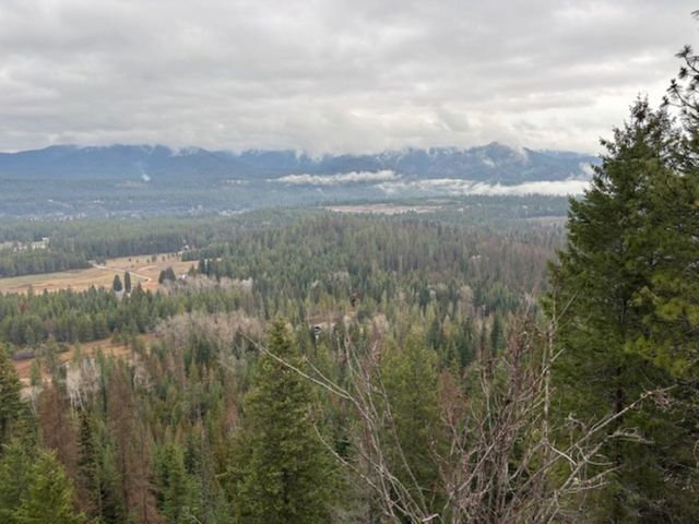 xx S Bobier Rd, Newport, WA 99156