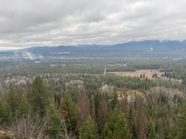 xx S Bobier Rd, Newport, WA 99156