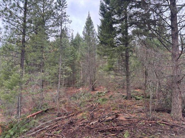 xx S Bobier Rd, Newport, WA 99156