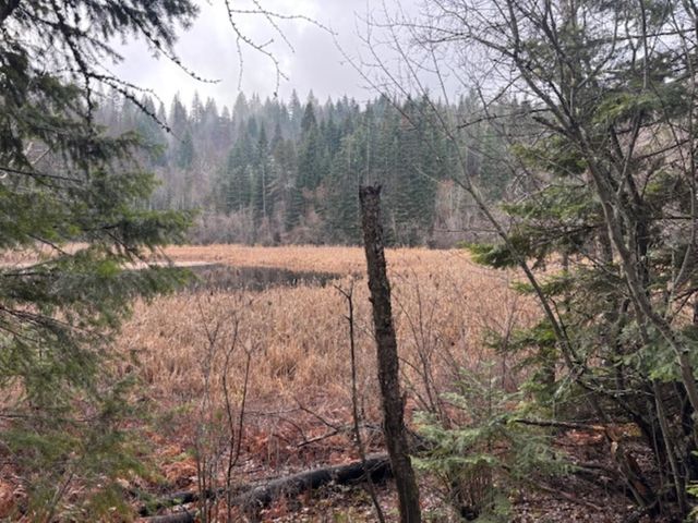 xx S Bobier Rd, Newport, WA 99156