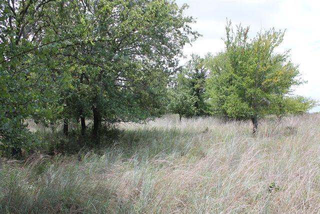 120 Demonbreun Court, Chico, TX 76431