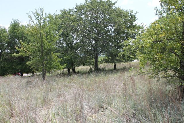 120 Demonbreun Court, Chico, TX 76431