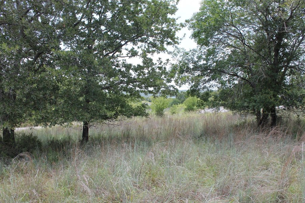 120 Demonbreun Court, Chico, TX 76431
