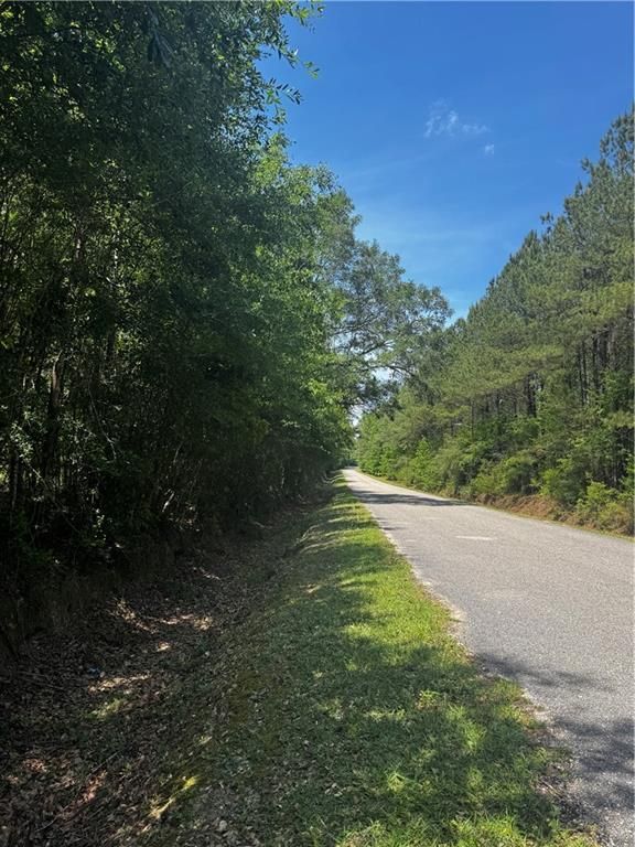 0 Jackson Street, Mount Vernon, AL 36560 — photo 2