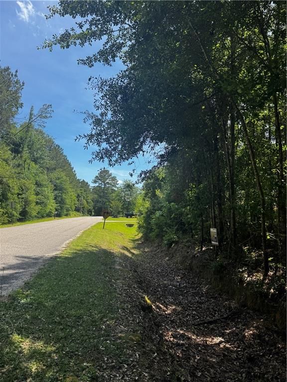 0 Jackson Street, Mount Vernon, AL 36560 — photo 3