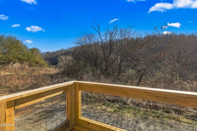 161 Greasy Cove Road, Cosby, TN 37722