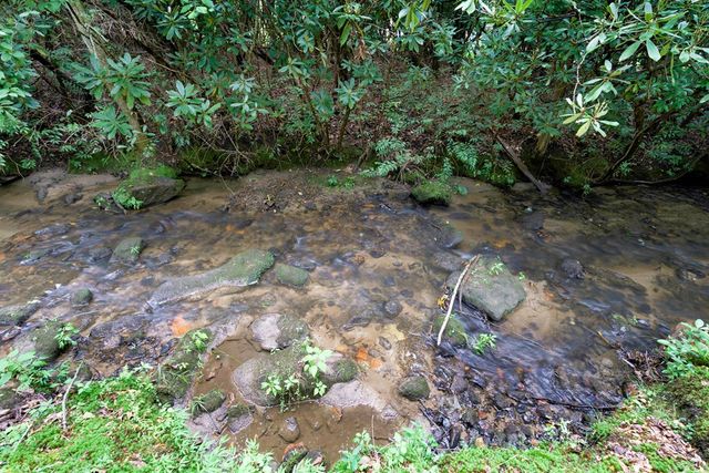 125 Jess Hooper Drive, Hayesville, NC 28904