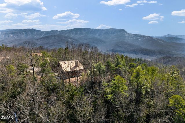 438 Coyote Road, Gatlinburg, TN 37738