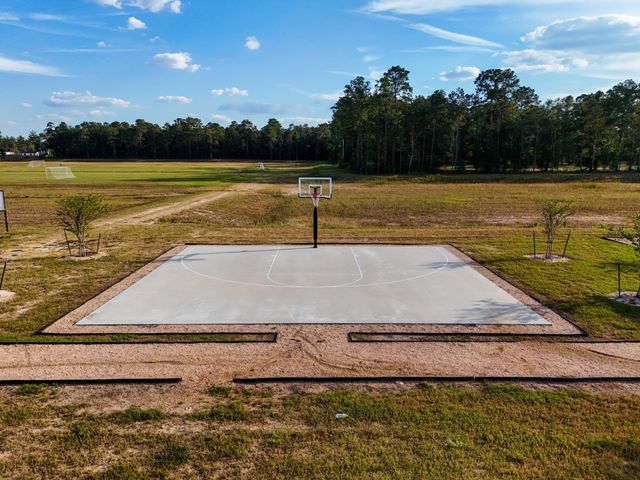 12977 Gustavo Drive, Conroe, TX 77306