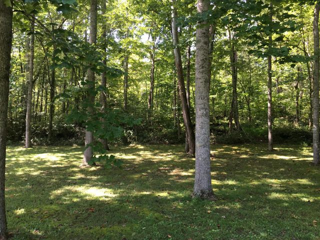 721 Valley View Drive, Burnside, KY 42519