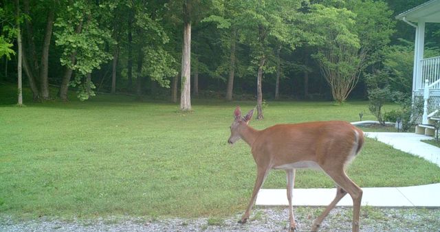 721 Valley View Drive, Burnside, KY 42519