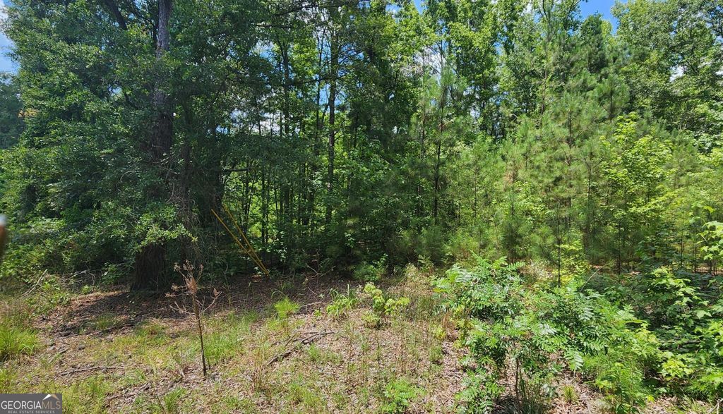 215 Panola Road, Jackson, GA 30233