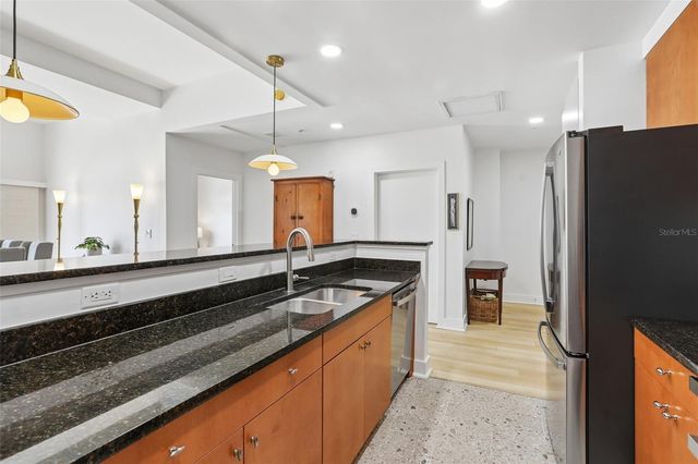 1010 CENTRAL AVENUE 413, St Petersburg, FL 33705
