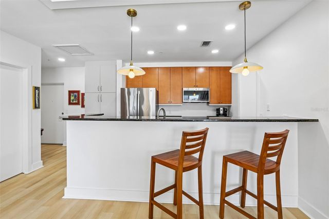 1010 CENTRAL AVENUE 413, St Petersburg, FL 33705