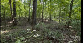 1402 Bloomsberry Lane, Waxhaw, NC 28173
