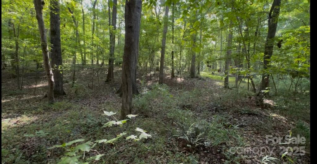 1402 Bloomsberry Lane, Waxhaw, NC 28173