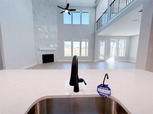 29854 Longleaf Grove Lane, Fulshear, TX 77441