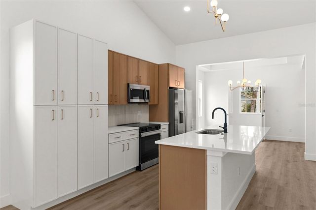 1607 E IDA STREET, Tampa, FL 33610