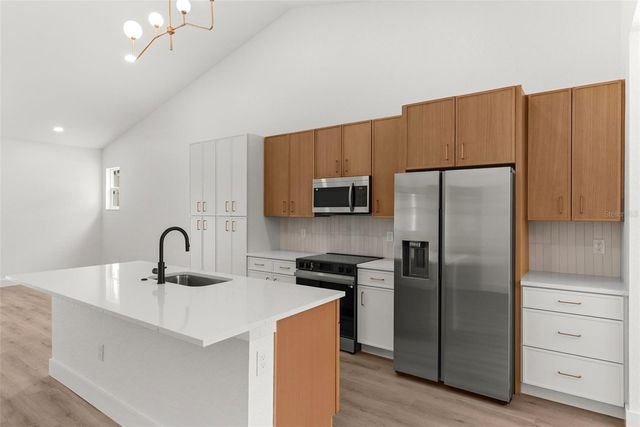 1607 E IDA STREET, Tampa, FL 33610