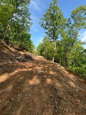 324 Adair Drive, Ranger, GA 30734