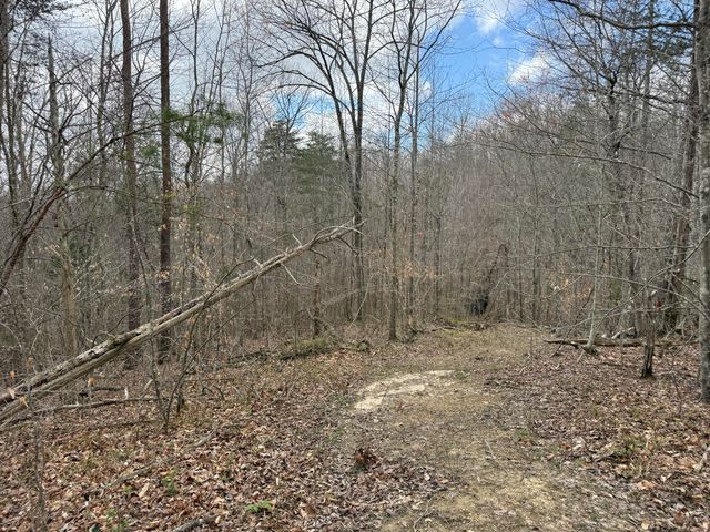 Lot 8 Phase 2 Stearns Hollow Road, Monticello, KY 42633