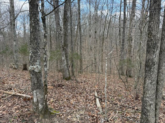 Lot 8 Phase 2 Stearns Hollow Road, Monticello, KY 42633