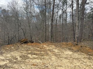 Lot 8 Phase 2 Stearns Hollow Road, Monticello, KY 42633