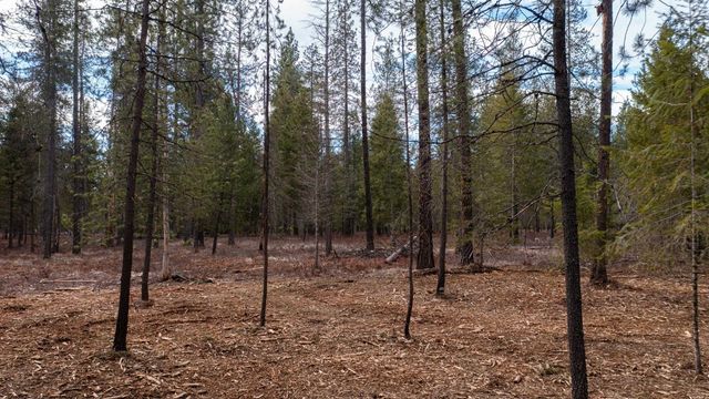 35311 N Findley Rd, Deer Park, WA 99006