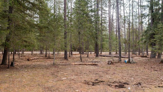 35311 N Findley Rd, Deer Park, WA 99006