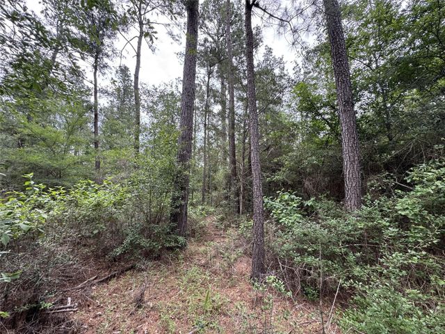 T2 Round Prairie Road, Huntsville, TX 77320