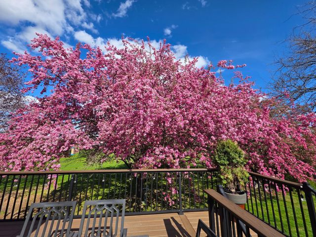 297 Majestic Road NW, Rochester, MN 55901