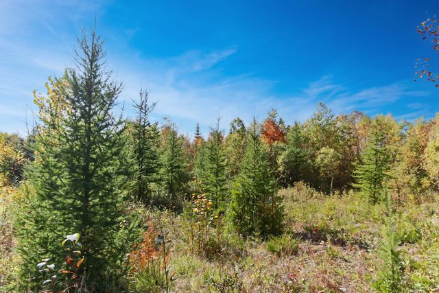 72 Heritage Road, Stewartstown, NH 03597