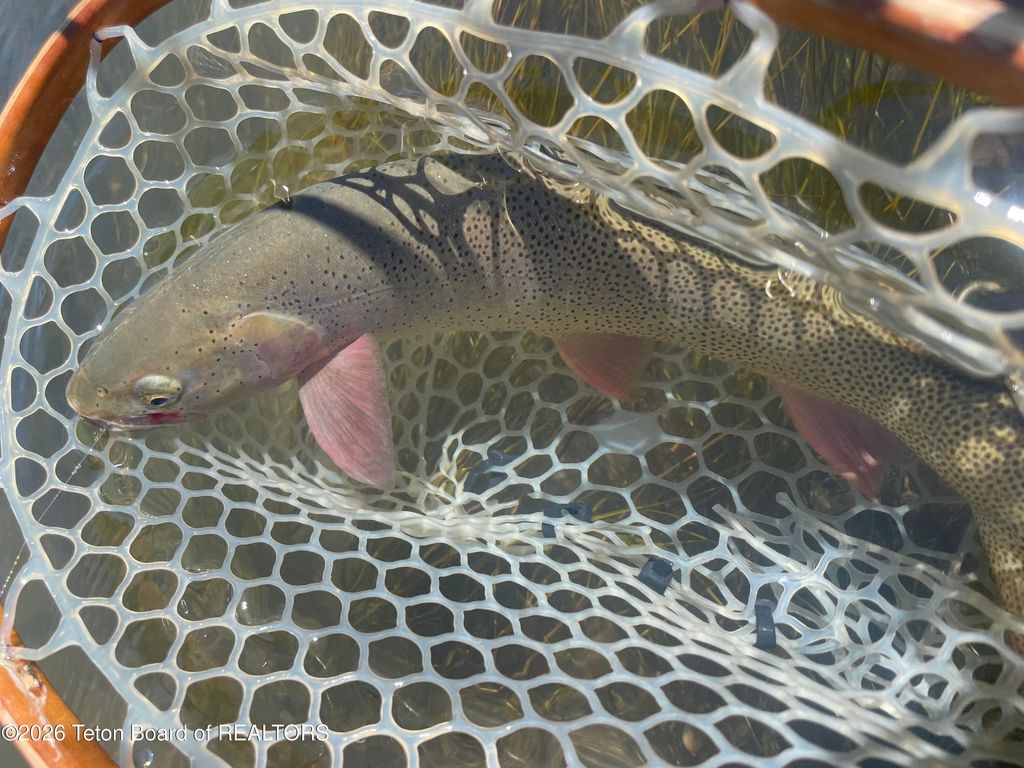 5179 CROW CREEK, Fairview, WY 83119 photo 25