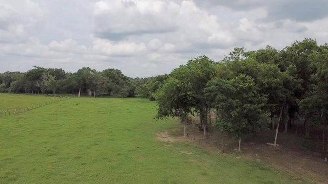 TBD FM 535, Rosanky, TX 78953