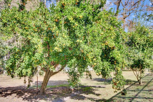 139 Pecan Drive, Summerville, SC 29483