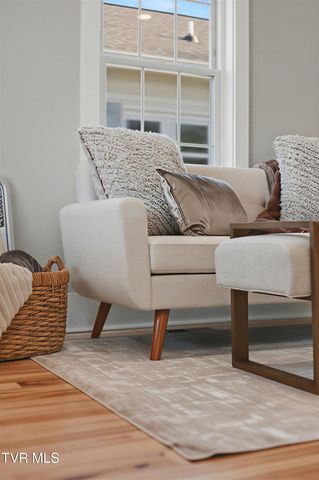 319 West Chilhowie Avenue, Johnson City, TN 37604