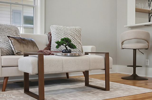 319 West Chilhowie Avenue, Johnson City, TN 37604