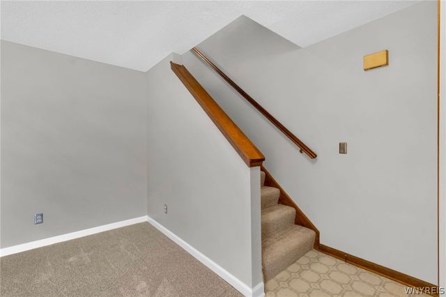 241 South Division Street, Buffalo, NY 14204