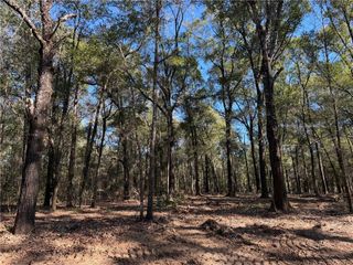0 Danner Road, Wilmer, AL 36587