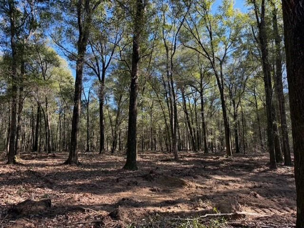 0 Danner Road, Wilmer, AL 36587 — photo 3