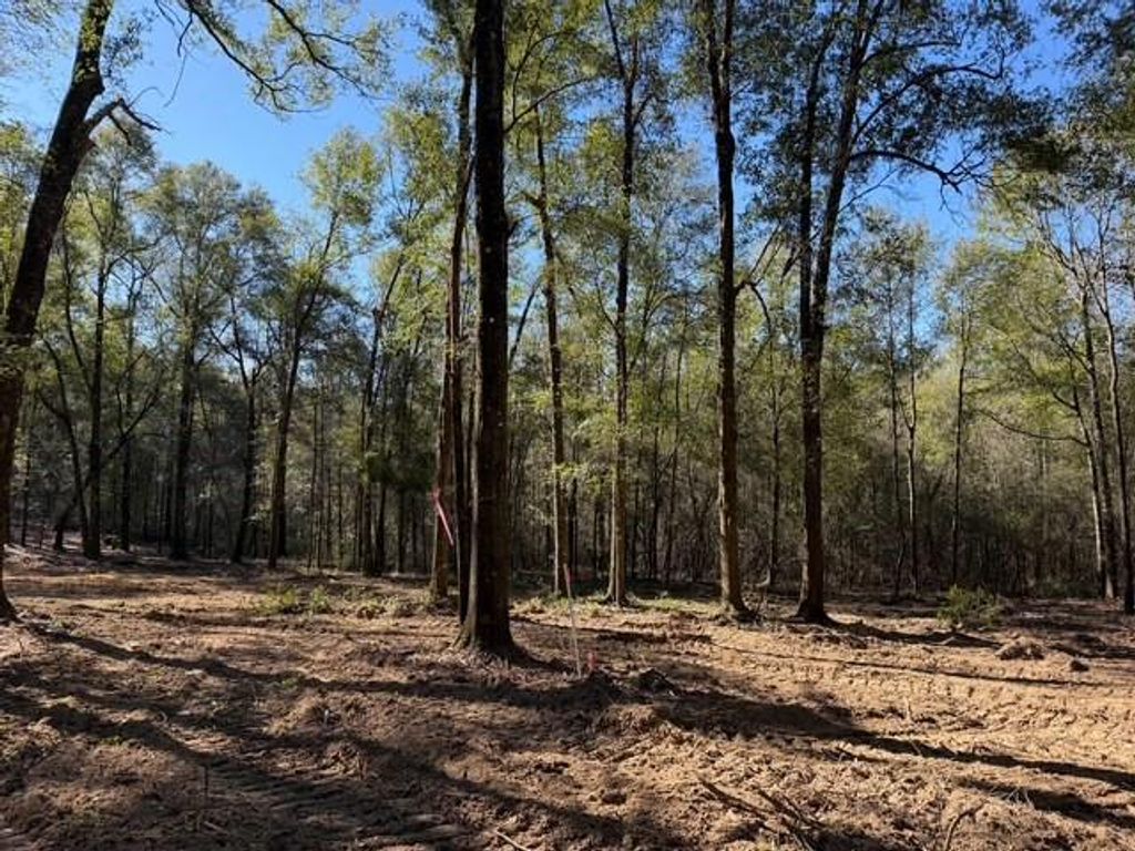 0 Danner Road, Wilmer, AL 36587 — photo 5