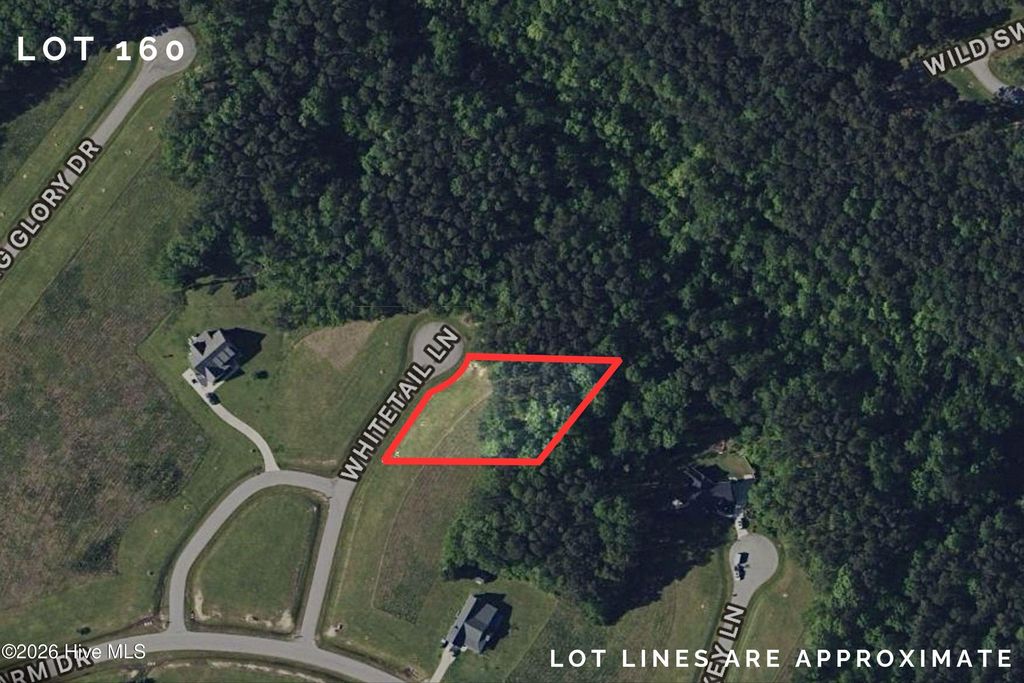 58 Whitetail Lane, Arapahoe, NC 28510
