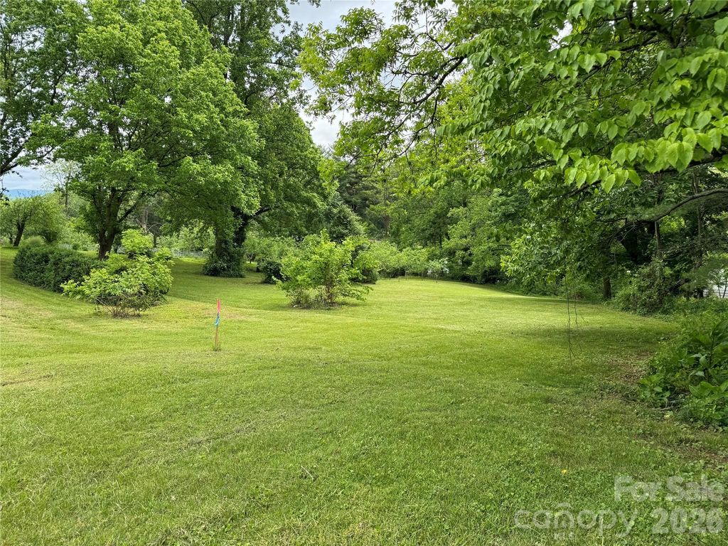 46 GREEN HILL Avenue, Asheville, NC 28806