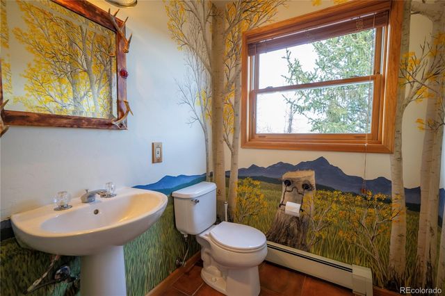 480 Witcher Lane, Fairplay, CO 80440