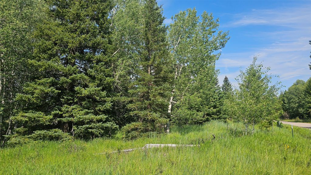 NA W Willow Creek Road, Lincoln, MT 59639 photo 4